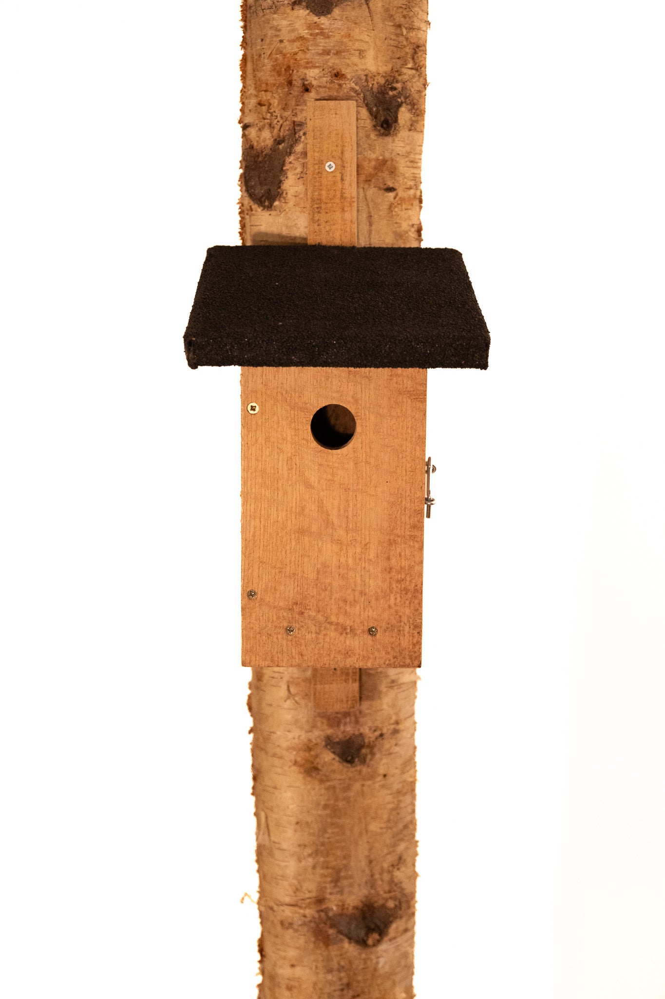 Tuin- en zangvogels