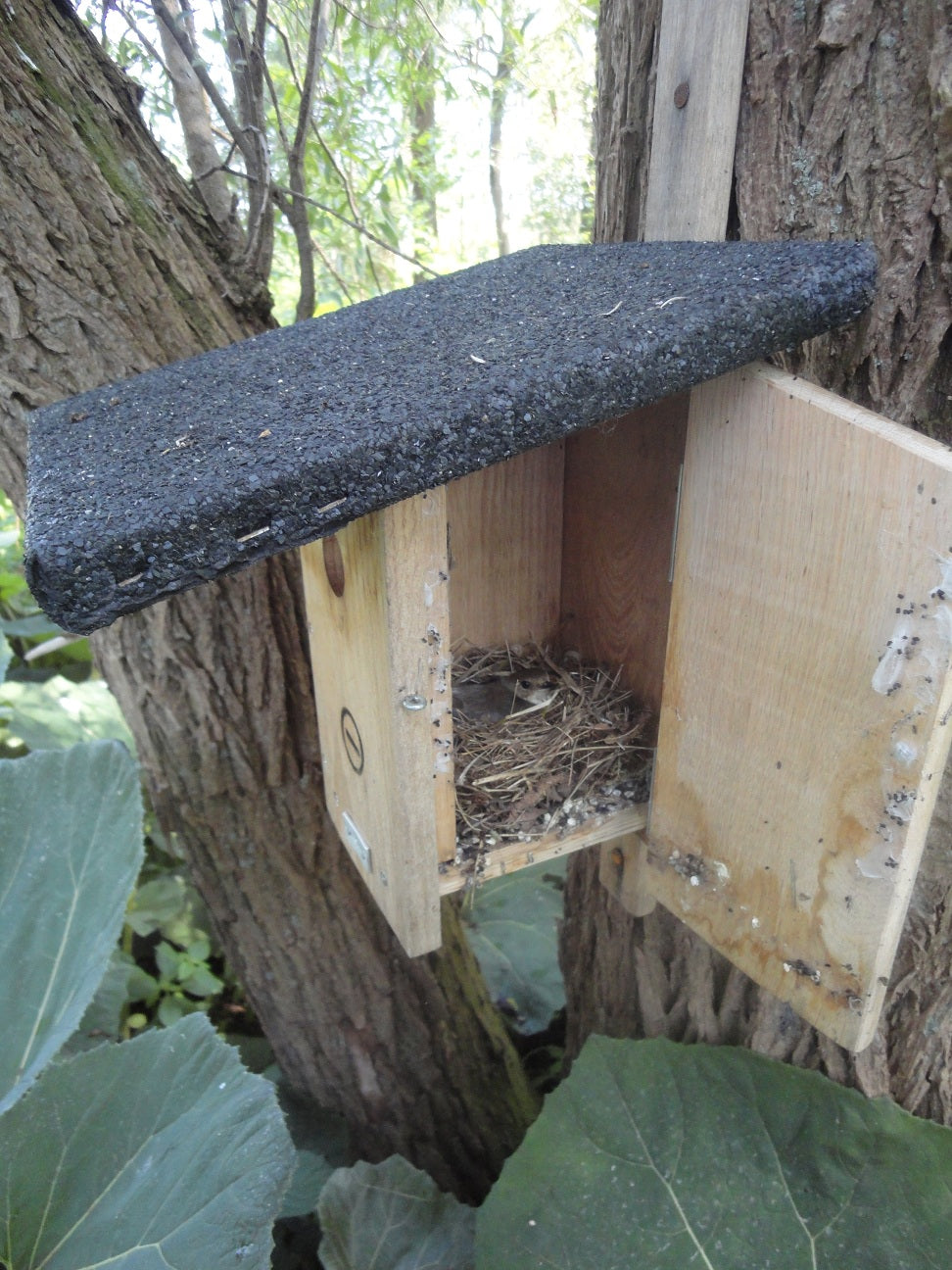 Tuin- en zangvogels