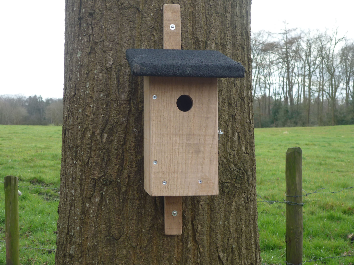 Tuin- en zangvogels